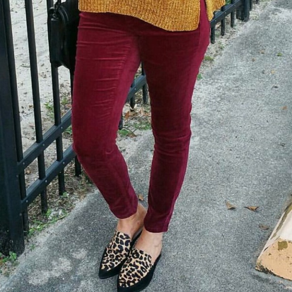 Burgundy velvet pants